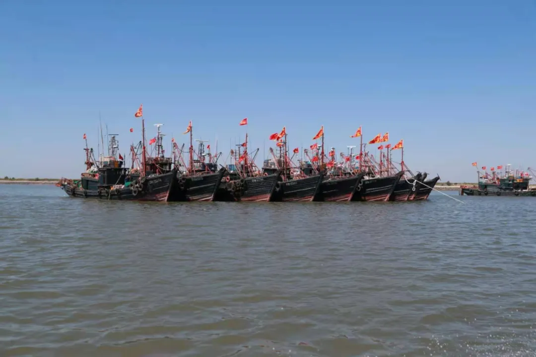 东港，开海了！海鲜批发海鲜零售请找仟贝福